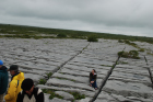 Sheshymore Limestone pavement exposes shallow water carbonates of the Brigantian, Slievenaglasha Formation. These classic kharstified exposures of tabular blocks of limestone pavement, Clints, are cut by vertical fractures, Grikes, which were widened by post glacial disolution (McNamara, & Hennessy, 2010). Fractures were intially established during Variscan folding (Coller, 1984).